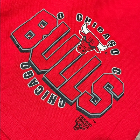 Champion Vintage Chicago Bulls Shorts - Youth Size M (8/10)‎ - Picture 4 of 8